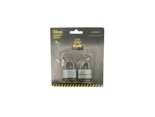 2pc 30mm Keyed alike Laminated Padlock